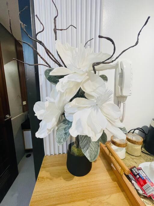 Marias Suite Near Manila Bay Free Use Of Pool エクステリア 写真
